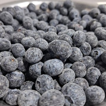 IQF blueberries
