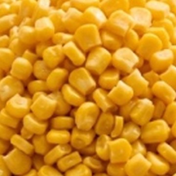 IQF sweet corn